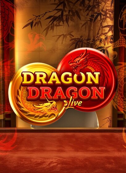Dragon Dragon